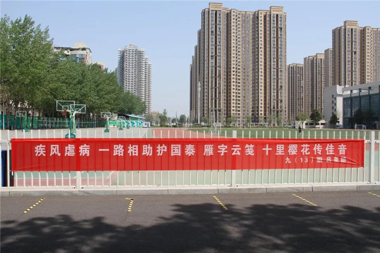 1587428529583619.jpg 5.jpg