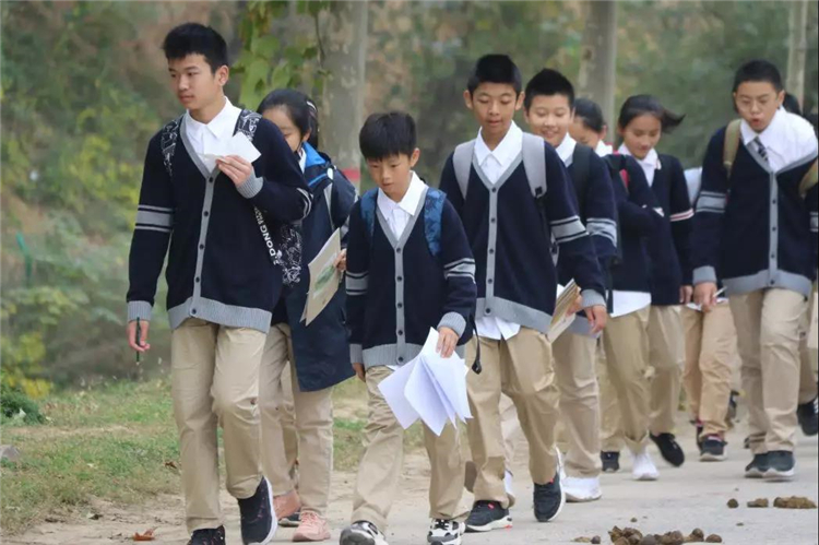 1588217359561821.jpg 6.jpg