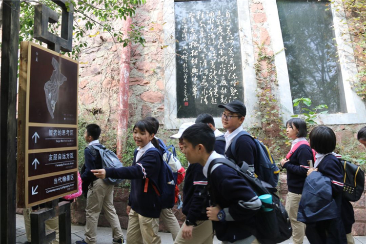 1588217391813451.jpg 9.jpg