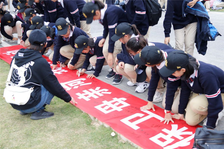 1588217481139376.jpg 17.jpg