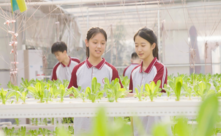 1687866741152110.jpg 1.jpg