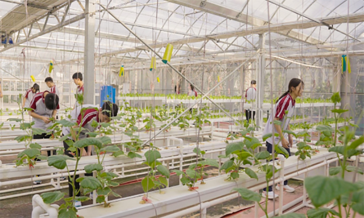 1687866771436669.jpg 1.jpg