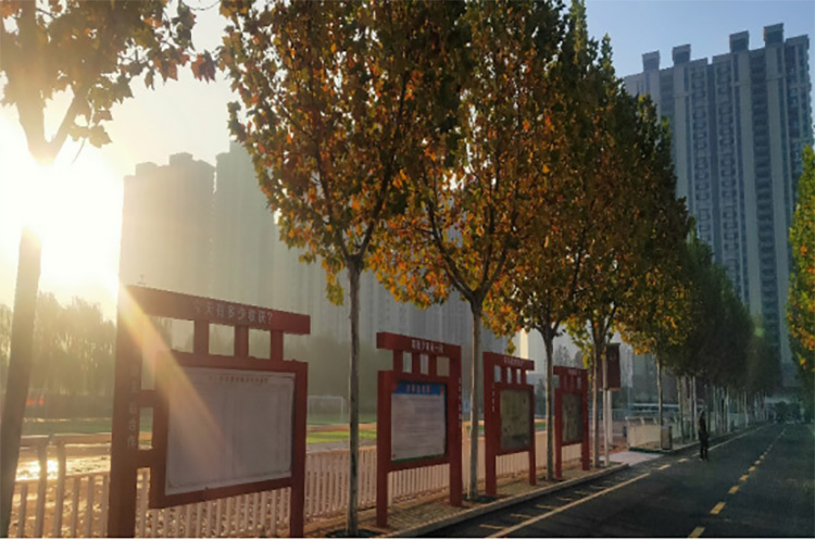 1687868495329375.jpg 1.jpg