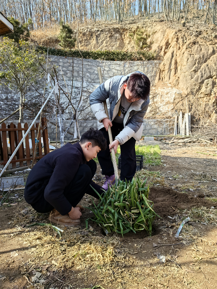 1709166551236726.jpg 图片14:劳动体验.jpg