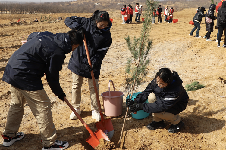 1710120032885035.png 图片3:植树现场2.png