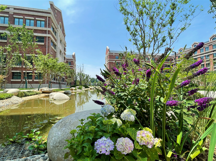 1718077230793152.png 水系环绕的国际部教学区.png