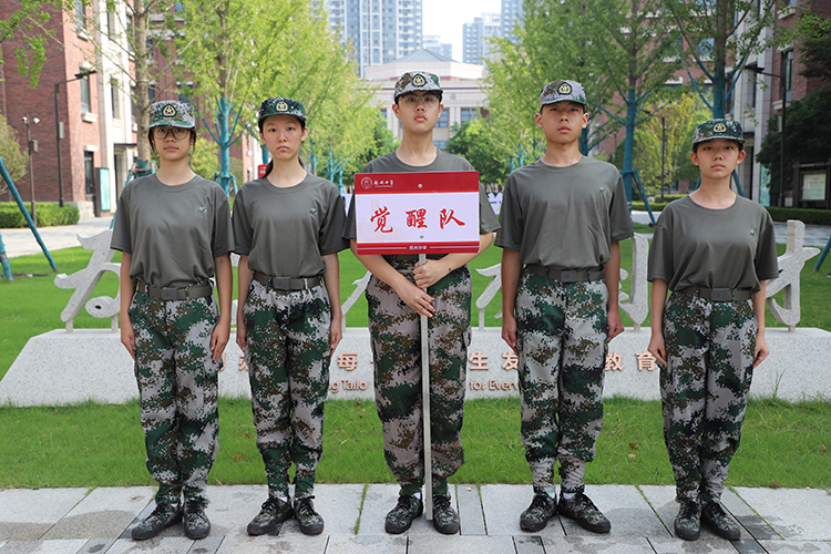 图片2 觉醒队.JPG