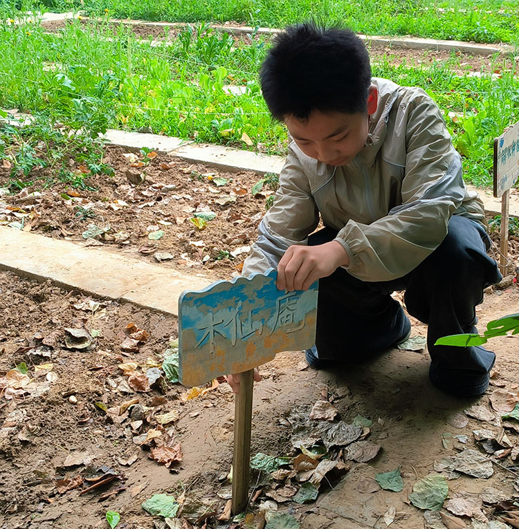 1780281319667186.jpg 图2:学生用心将班牌插入土里.jpg
