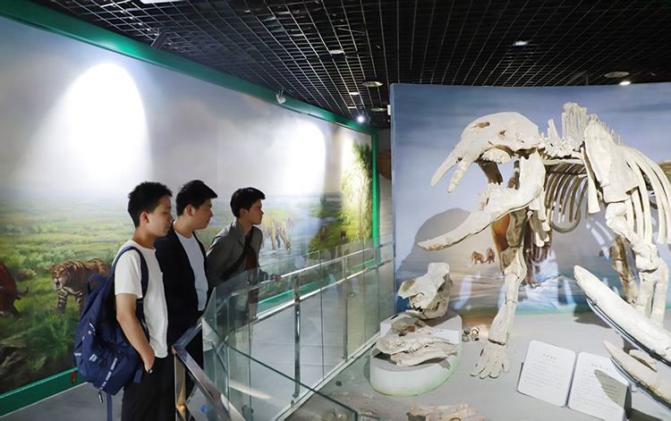 1781575627216172.jpg 图七:实地探究河南简称“豫 ”的由来.jpg